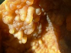 Gems, Rocks and Minerals